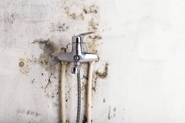 Best Mold Remediation for Schools in Buckley, WA
